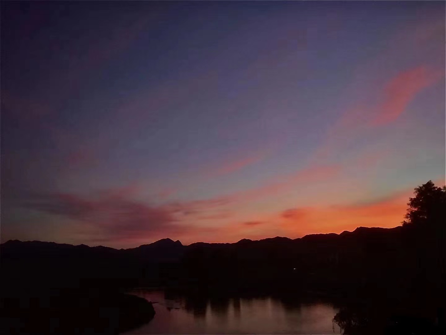抓住了一只蝉，就仿佛抓住了整个夏天